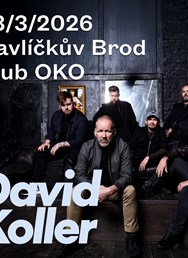 DAVID KOLLER - Tour jaro 2026 - 20 let kapely