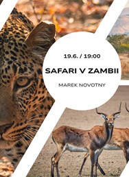 Safari v Zambii