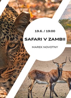 Safari v Zambii