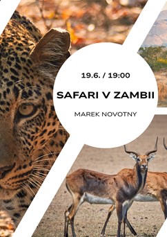 Safari v Zambii