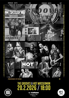 The Grooves & Hot Wasserman | live music | U Matesa