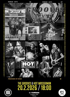 THE GROOVES & HOT WASSERMAN | LIVE MUSIC | U MATESA
