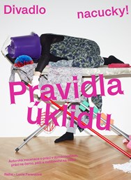 Pravidla úklidu