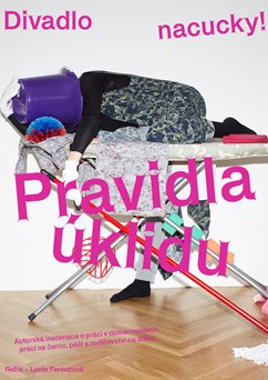 Pravidla úklidu