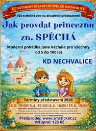 Jak provdat princeznu Zn. Spěchá