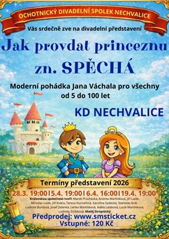 Jak provdat princeznu Zn. Spěchá
