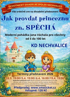 Jak provdat princeznu Zn. Spěchá