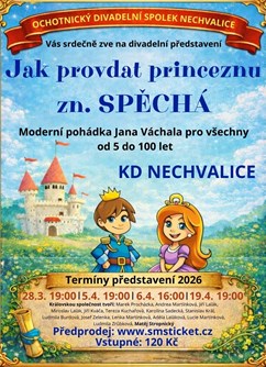 Jak provdat princeznu Zn. Spěchá