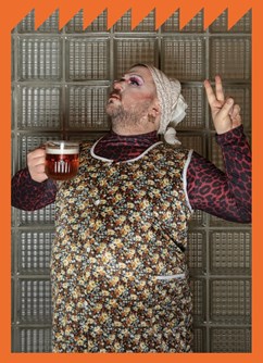 PiNKBUS – Hezky česky