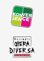 Konvergentní diversita