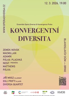 Konvergentní diversita