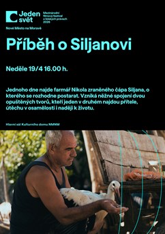 Jeden svět 2026 | Neděle | Příběh o Siljanovi