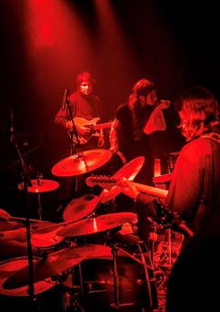Mancy Sono, Den Der Hale (SWE)