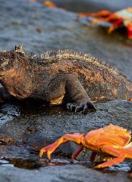 GALAPÁGY | cestovatelská přednáška Tomáše Grima