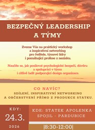 Praktický workshop - Bezpečný leadership a týmy pro NGOs.