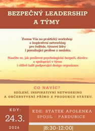 Praktický workshop - Bezpečný leadership a týmy pro NGOs.
