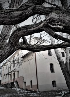 Festival Bartkův mlýn