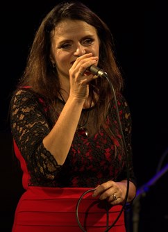 "....chytím tě, lásko levandulová...." Pocta Haně Hegerové