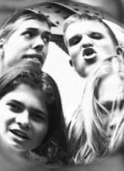 The Quarantines & Marmota