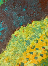 Kiko's Bop Jam #3 // Ponava