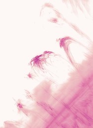 Star Club West [BE] + Plum Dumplings + Sci Poematica