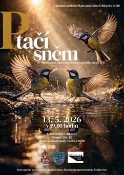 Ptačí sněm