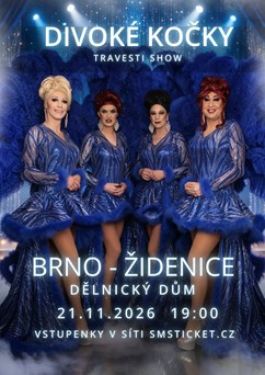 Travesti show Divoké kočky v Brně-Židenicích
