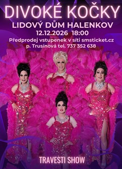 Travesti show Divoké kočky v Halenkově