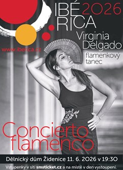Virginia Delgado (ESP): Concierto flamenco