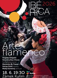 Arte Flamenco