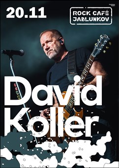 David Koller