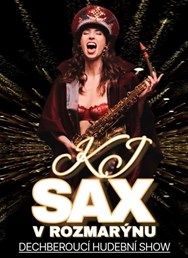 KJ SAX v Rozmarýnu - koncert vol.2
