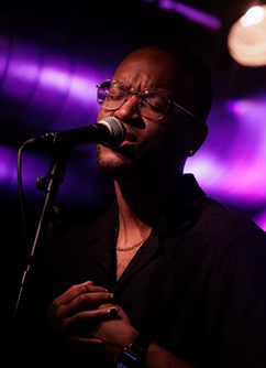 Michael Mayo - Fly (USA)