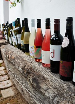  Festivalová stodola: Degustace festivalové kolekce vín