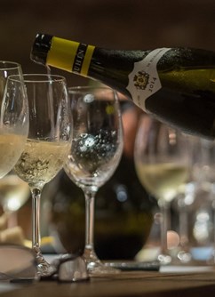  Festivalová stodola: Degustace festivalové kolekce vín