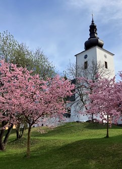 Frenštát pod Radhoštěm - Hudba v chrámech 