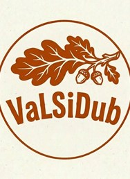 festival ValSiDub