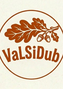 festival ValSiDub