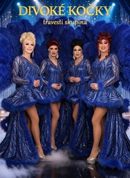 Travesti Divoké kočky v Praze