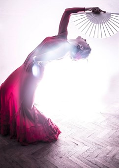 FLAMENCO NIGHT