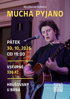Muzika na Sokecu: MUCHA PYJANO