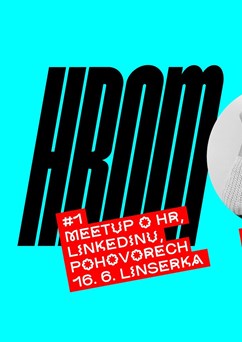 HROM #1 - Pavla Benešová