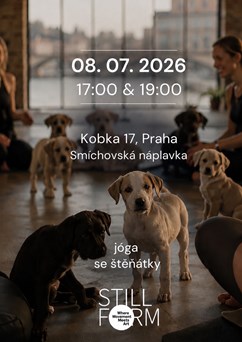 STILLFORM - JÓGA SE ŠTĚŇÁTKY | ART IN MOTION