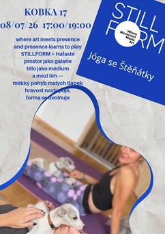 STILLFORM - JÓGA SE ŠTĚŇÁTKY | ART IN MOTION