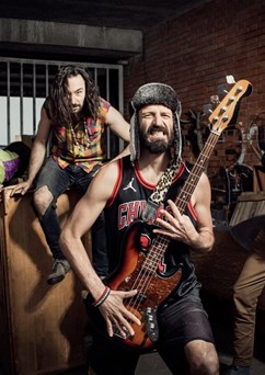Kobra Party Band Universal