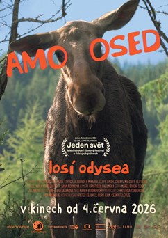 FILMOVÝ KLUB - AMOOSED: Losí odysea