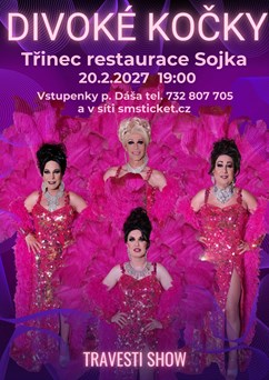 Travesti show Divoké kočky Třinec
