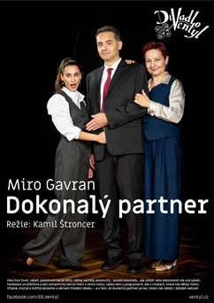 Dokonalý partner