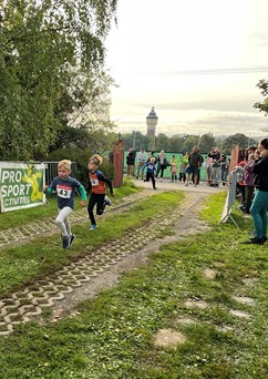 Plzeňský kardioběh