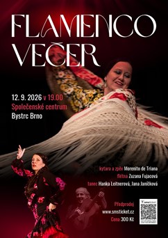 FLAMENCO večer